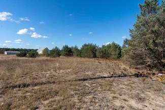 0 E Robinson Rd Unit 475074, Pellston, MI 49769