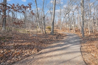 81 Edgemont Rd, Watchung, NJ 07069