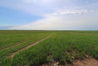 Cotton, Jet, OK 73749
