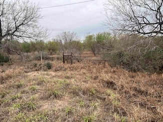 4796 N U S Hwy 83, San Ygnacio, TX 78067