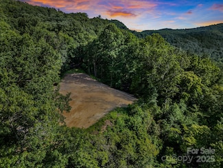 208 Hanty Branch Hill, Brevard, NC 28712