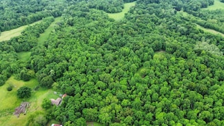 2767 Arp Central Rd, Ripley, TN 38063