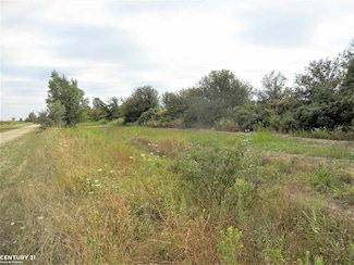 0 Windmill Ln N Unit 50175237, Imlay City, MI 48444