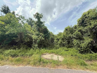 1601 W Curtis Ave, Orange, TX 77630