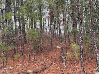 318 Willow Ln Unit 10, Vincent, AL 35178