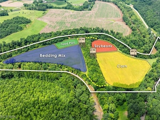 0 Plainfield Rd Unit 5137910, Kimbolton, OH 43749