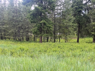 Lot 5 Mossy Oak Ct, Thompson Falls, MT 59873