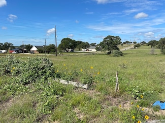 401 Shady Ln, La Vernia, TX 78121