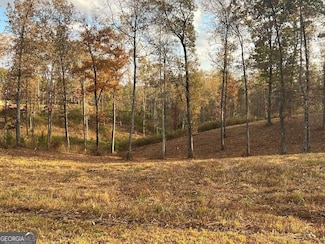 Lot 104 High River Rd Unit 104, Ellijay, GA 30540
