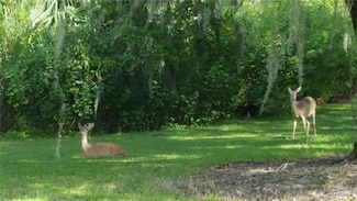 31631 Mount Plymouth Loop, Sorrento, FL 32776