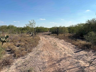 0 Abst 2360 Sur 54 Unit 20254815, Laredo, TX 78043