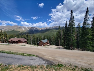 331 Kimmes Ln, Breckenridge, CO 80424