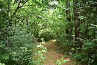 Lot26-31;36-41 Cr 508, Nacogdoches, TX 75961