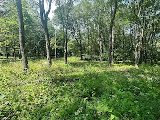 Lot 225 Woodbine Dr, Terra Alta, WV 26764