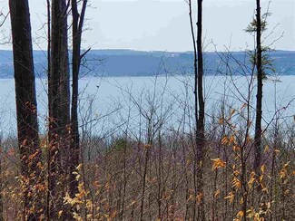 Lot 4 Ruby Ln, Boyne City, MI 49712