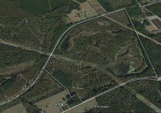 0 Ram Horn Rd Unit 16026574, Early Branch, SC 29916