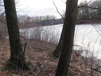 TBD Partridge Pass, Cushing Township, MN 56475