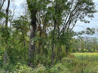 393 Mountain Lake Rd, Great Meadows, NJ 07838