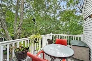 8 Larkspur Ct, Bedminster, NJ 07921