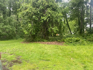 Vacant Southpointe Rd, Grosse Ile, MI 48138