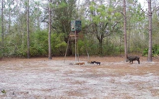 0 Cat Rd Unit 123785, Lee, FL 32059