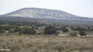 2701 E Leslie Way, Williams, AZ 86046