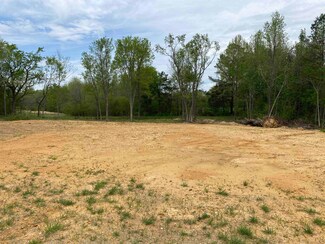 9098 Tennessee 142, Stantonville, TN 38379