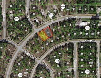 6660 & 6658 N Bedstrow Blvd, Dunnellon, FL 34434