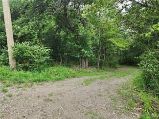 V/L Hencoop Hollow Rd, Mansfield, NY 14731