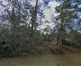 1335 St Augustine Ct, Poinciana, FL 34759