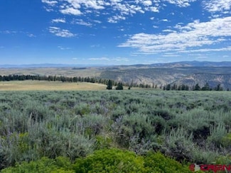 924 Cinammon Trail, Powderhorn, CO 81243