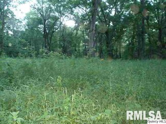 0 Hwy 156 W Unit CA188778_1, Ewing, MO 63440