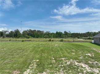 21416 Yellow Fin Dr, Springfield, LA 70462