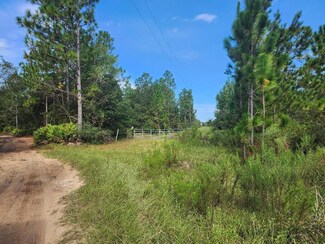 000 Jones Rd, Glennville, GA 30427