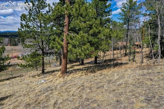 870 Will Scarlet Dr, Divide, CO 80814