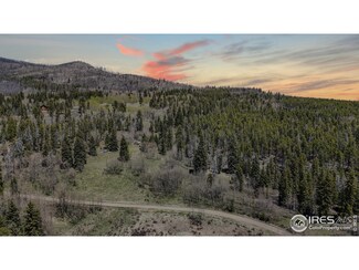 0 Galuchie Dr, Drake, CO 80515