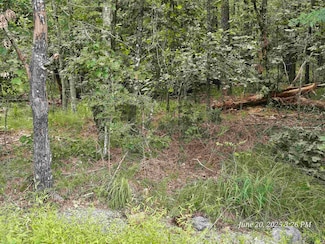 6 Osorno Ln, Hot Springs Village, AR 71909