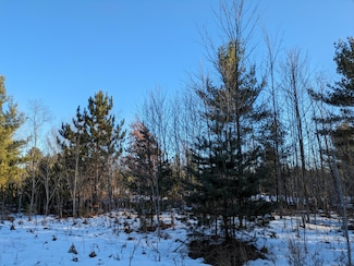 6 Jussi St, Kaleva, MI 49645