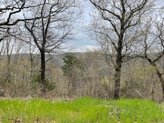 25 Cypress Point Ln, Eureka Springs, AR 72631