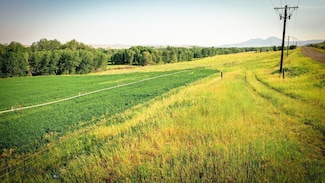 NHN Shields River Rd, Wilsall, MT 59086