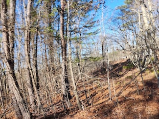 Lot 4 Carrollton Dr NW, Cullman, AL 35055