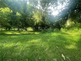 2657 River Haven Rd, Clendenin, WV 25045