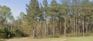 0 Lloyd Rd Unit 532132, Trenton, SC 29832