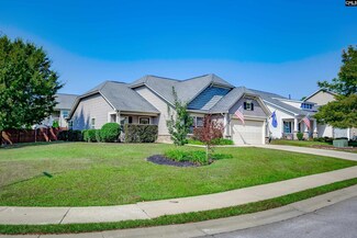 816 Burnview Ln, Chapin, SC 29036