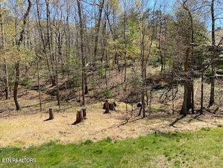 0 Mariners Point Unit 1299650, Fairfield Glade, TN 38558