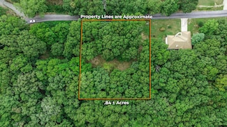 39 Mule Barn Dr, Flat Creek A Township, MO 65624