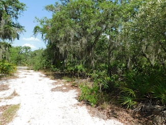 3201 Scrub Oak Ln, Lake Wales, FL 33898