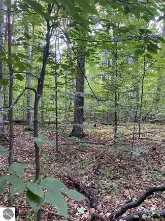 000 Sugar Maple Dr, Centerville Township, MI 49621