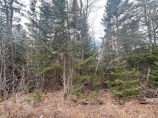 0 N Littleton Rd Unit 5035053, Littleton, NH 03561