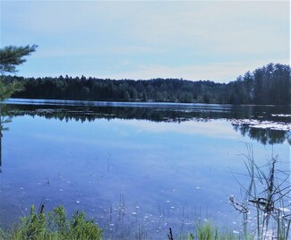 14565&1457 W Shore Line Dr, Wolverine, MI 49799